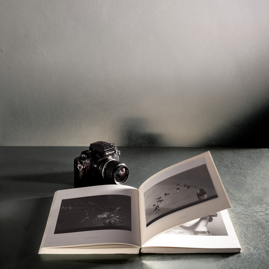 Marmorino 2020 finish